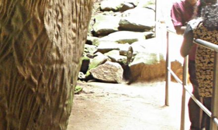 The Strange Symbols <br>at Edakkal Caves