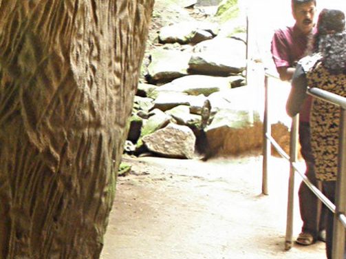 The Strange Symbols <br>at Edakkal Caves