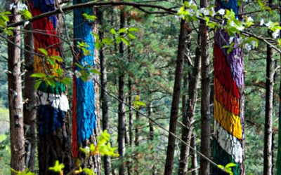 The Oma Painted Forest – Basque Country, Northern Spain