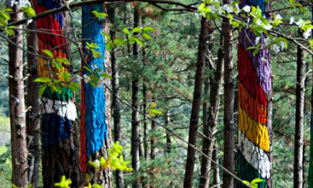 The Oma Painted Forest – <br>Basque Country, Northern Spain