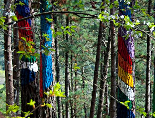 The Oma Painted Forest – <br>Basque Country, Northern Spain
