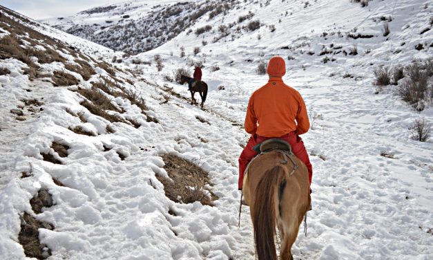 Horseback Trekking in the Kyrgyzstan Mountains