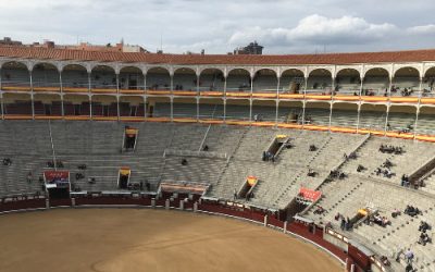 Fighting Spanish Bulls in Madrid