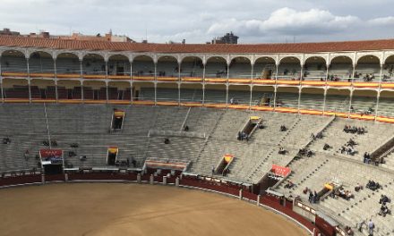 Fighting Spanish Bulls in Madrid