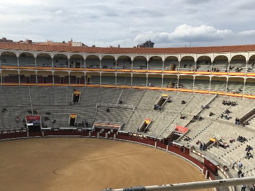 Fighting Spanish Bulls in Madrid