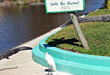 Gatorland’s Gator Bait