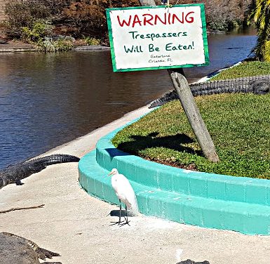 Gatorland’s Gator Bait