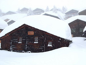 High Snowdrifts