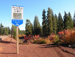  Fall colors on Cascade lava flow