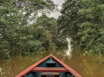 The Colombian Amazon