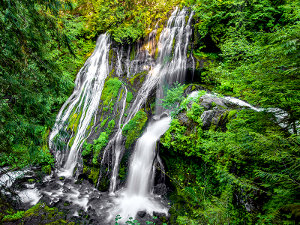  Panther Creek Falls 