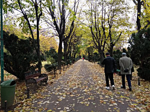  Herastrau Park, Bucharest 