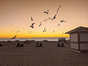  South Beach -- Miami 