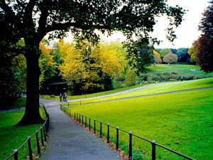  Phoenix Park 