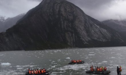 Patagonia Travails